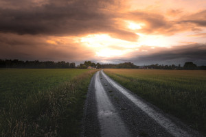 NBA联盟公告解读,这次真的不一样,改变从公告开始!