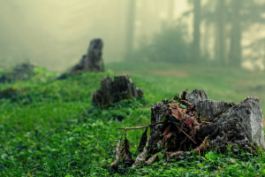 IG官宣新教练！粉丝期待“NaBH4”组合重塑辉煌